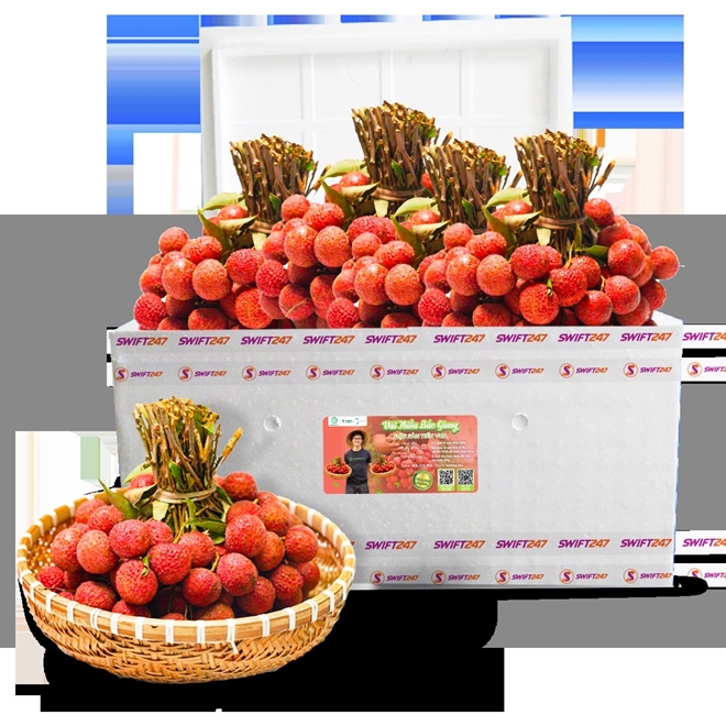 Vietjet s associe pour promouvoir les exportations et la consommation de litchis